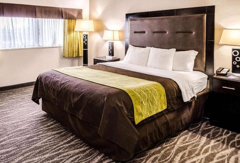 스위트 킹사이즈 침대, Comfort Inn Downtown Charleston