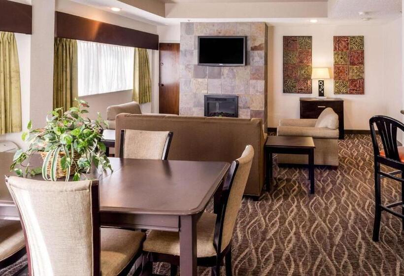 스위트 킹사이즈 침대, Comfort Inn Downtown Charleston