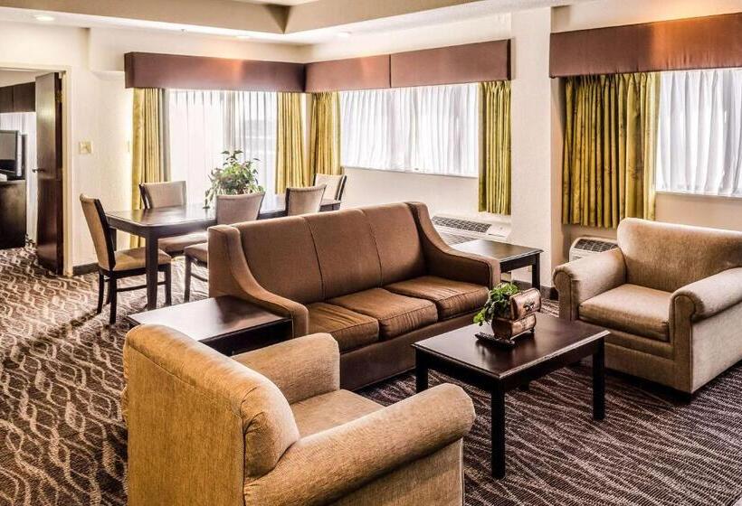 스위트 킹사이즈 침대, Comfort Inn Downtown Charleston