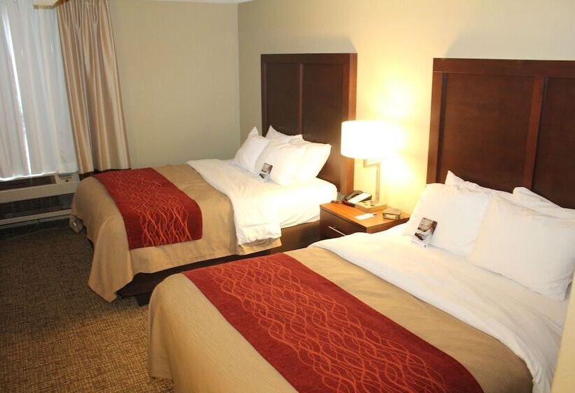 غرفه قياسيه سريرين مزدوجين, Comfort Inn Splash Harbor
