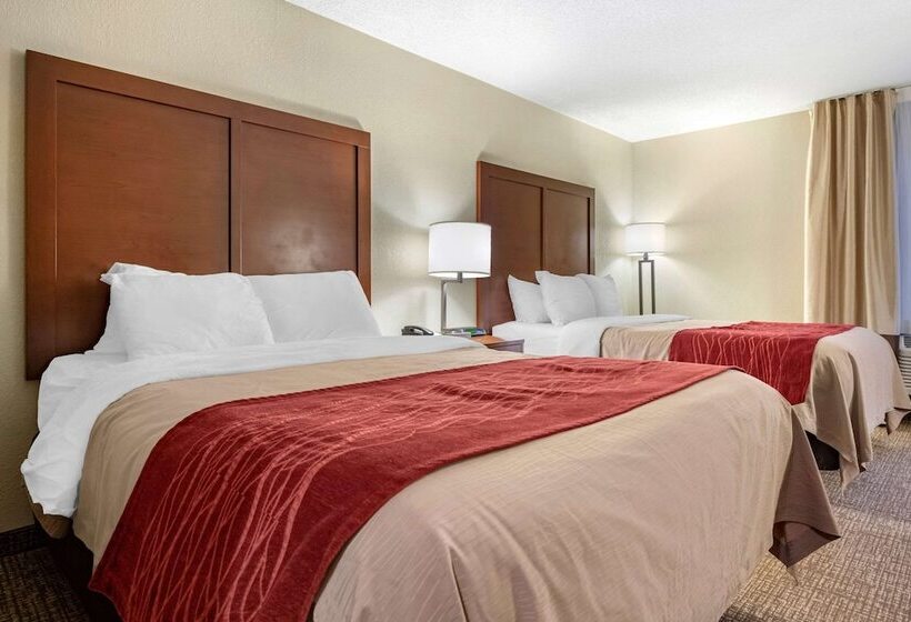 غرفه قياسيه سريرين مزدوجين, Comfort Inn Splash Harbor