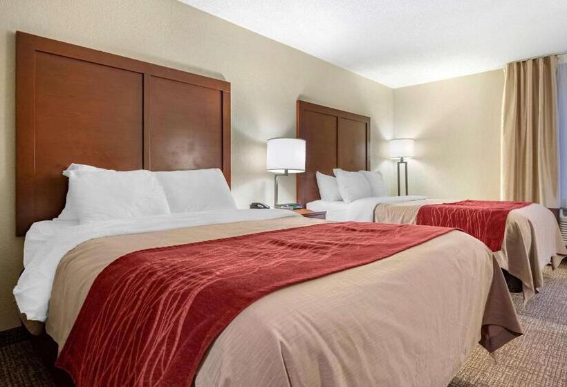 غرفه قياسيه سريرين مزدوجين, Comfort Inn Splash Harbor