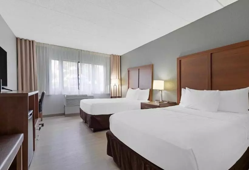 ２ダブルベッドのスタンダードルーム, Clarion Hotel & Suites Bwi Airport North