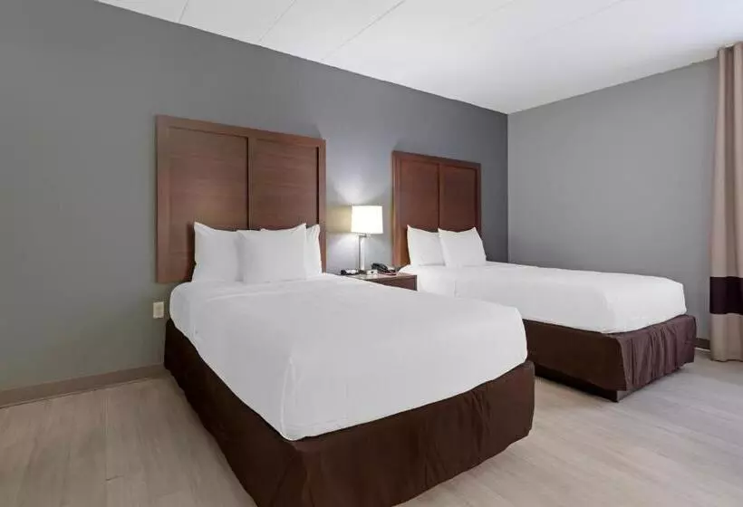 ２ダブルベッドのスタンダードルーム, Clarion Hotel & Suites Bwi Airport North