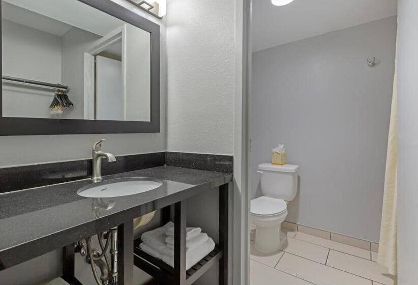 מיטת קינג בסוויטה, Clarion Hotel & Suites Bwi Airport North