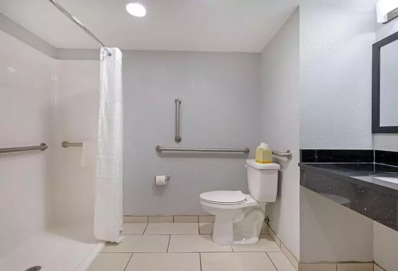 身障者適用スイートルーム, Clarion Hotel & Suites Bwi Airport North