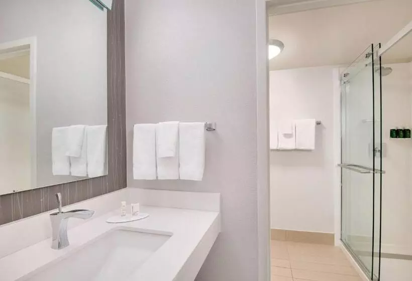 キングサイズベッドのスタンダードルーム, Courtyard By Marriott Birmingham Homewood