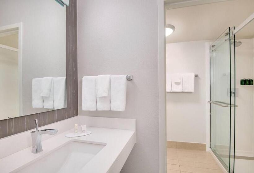 스위트 킹사이즈 침대, Courtyard By Marriott Birmingham Homewood