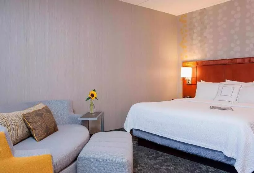 身障者適用キングサイズベッドルーム, Courtyard Chicago Glenview/northbrook