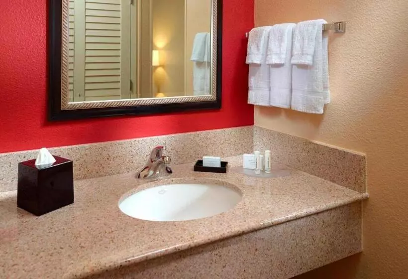 اتاق استاندارد با تخت بزرگ, Courtyard By Marriott Columbus