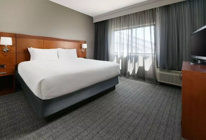 スイート, Courtyard Dallas Las Colinas