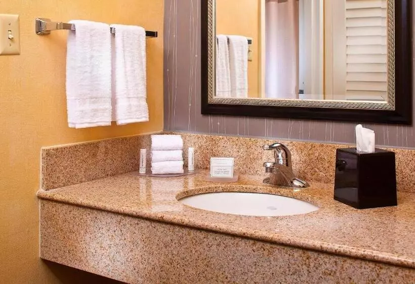 اتاق استاندارد با تخت بزرگ, Courtyard By Marriott Huntsville University Drive