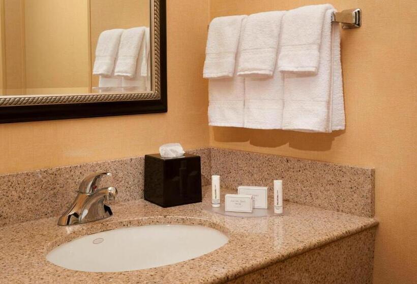 Люкс Кровать Кинг, Courtyard Toledo Airport Holland