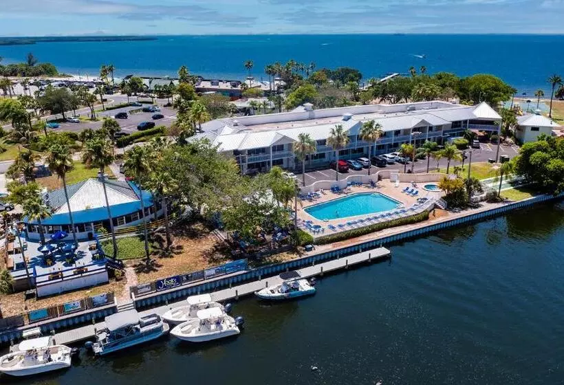 海の見えるスタンダードスタジオ, Tampa Bay, Beach Step Away, Wifi, Free Parking,pools, Jacuzzi