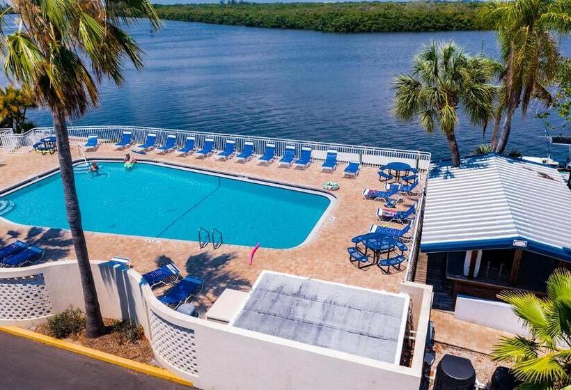 إستوديو قياسى مطل على البحر, Tampa Bay, Beach Step Away, Wifi, Free Parking,pools, Jacuzzi