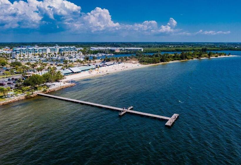 إستوديو قياسى مطل على البحر, Tampa Bay, Beach Step Away, Wifi, Free Parking,pools, Jacuzzi