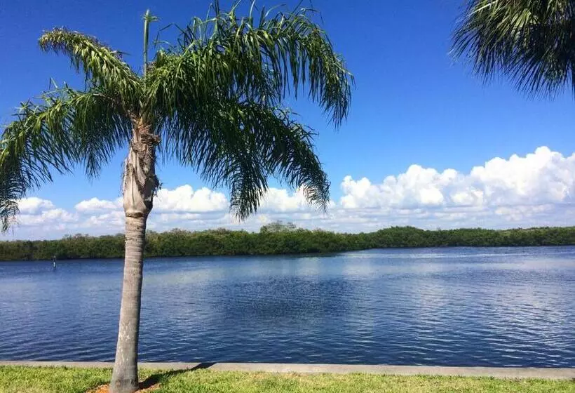 スタンダードスタジオ, Tampa Bay, Beach Step Away, Wifi, Free Parking,pools, Jacuzzi