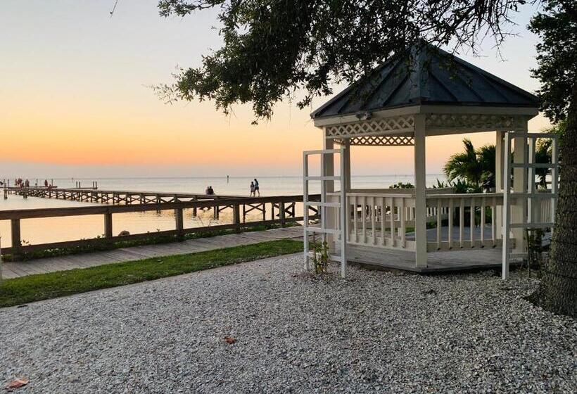 شقة غرفة واحدة مطلة على البحر, Tampa Bay, Beach Step Away, Wifi, Free Parking,pools, Jacuzzi