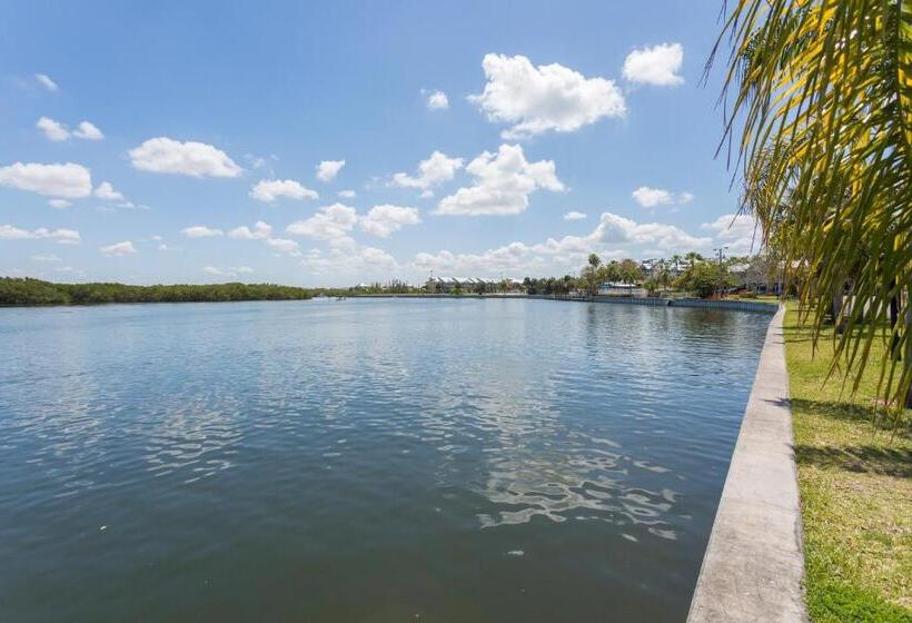 Апартаменты 1 Спальня Вид на Бассейн, Tampa Bay, Beach Step Away, Wifi, Free Parking,pools, Jacuzzi