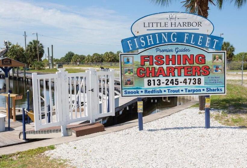 إستديو قياسى مطل على حمام السباحة, Tampa Bay, Beach Step Away, Wifi, Free Parking,pools, Jacuzzi