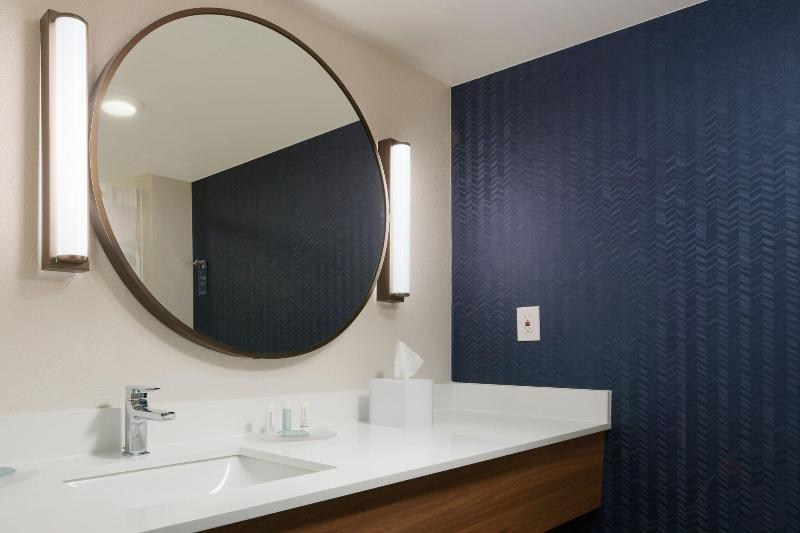 带大床的套房, Fairfield Inn & Suites By Marriott Pottstown Limerick