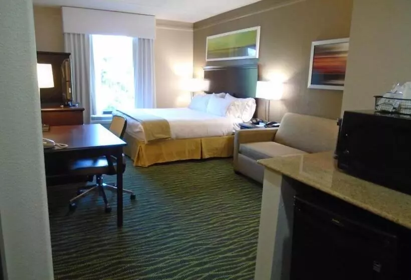اتاق استاندارد با تخت بزرگ برای معلولان, Holiday Inn Express Richmond   Midlothian Turnpike By Ihg