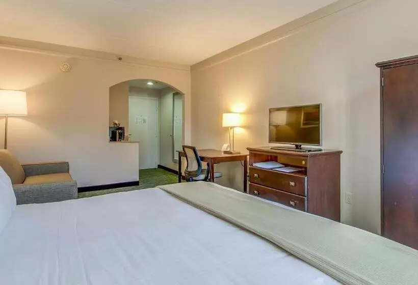 سوئیت با تخت بزرگ, Holiday Inn Express Richmond   Midlothian Turnpike By Ihg