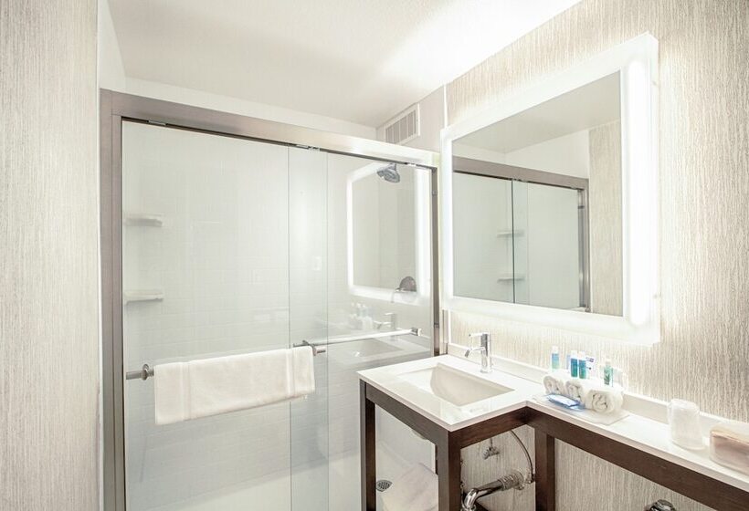 חדר סטנדרט, Holiday Inn Express   Downtown San Diego, An Ihg