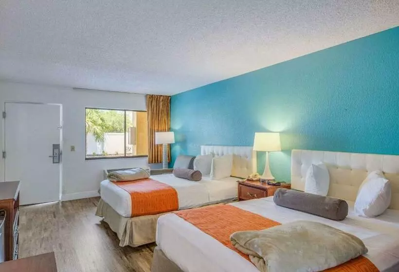 身障者適用スタンダードルーム, Rodeway Inn Port Richey North