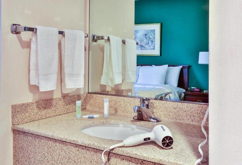 스탠다드 룸 킹사이즈 침대, The View Inn & Suites Bethlehem / Allentown / Lehigh Airport