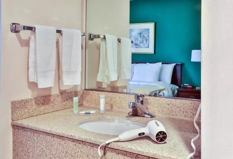 キングサイズベッドのスタンダードルーム, The View Inn & Suites Bethlehem / Allentown / Lehigh Airport