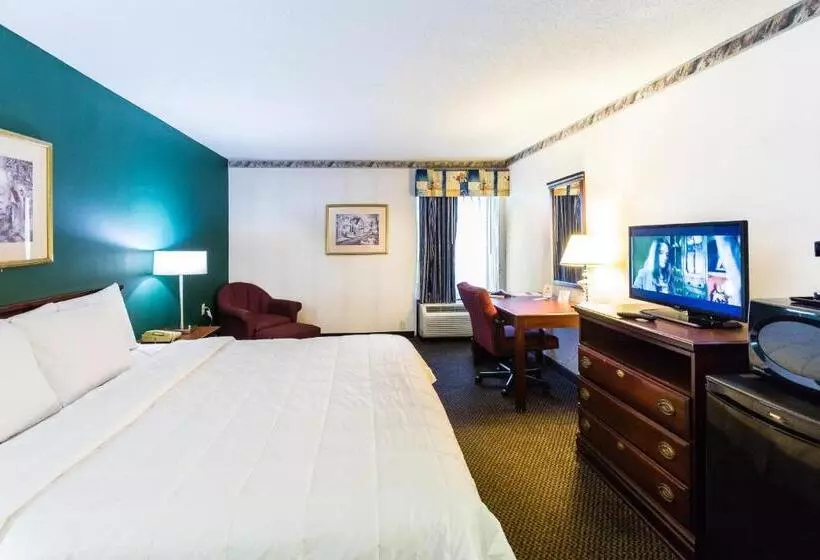 キングサイズベッドのスタンダードルーム, The View Inn & Suites Bethlehem / Allentown / Lehigh Airport