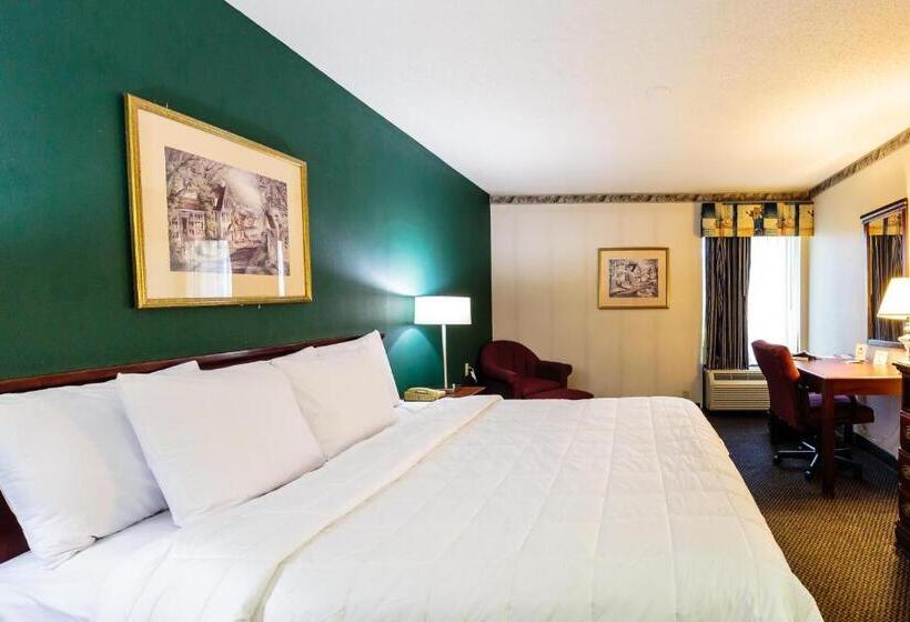 스탠다드 룸 킹사이즈 침대, The View Inn & Suites Bethlehem / Allentown / Lehigh Airport