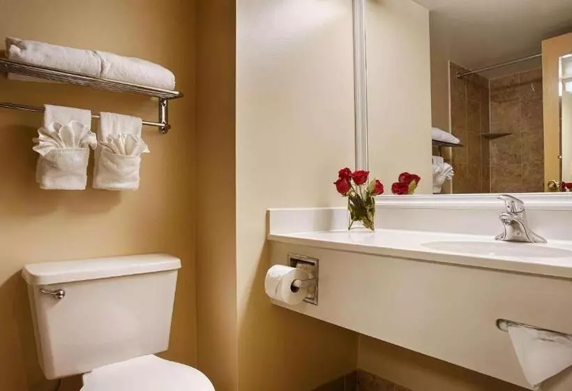 Sviitti Liikuntarajoitteisille, Best Western Potomac Mills