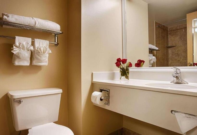 Номер Стандарт Кровать Кинг Адаптированный для Инвалидов, Best Western Potomac Mills