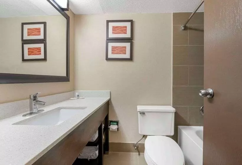 اتاق استاندارد با 2 تخت دوبل, Comfort Inn & Suites North At The Pyramids