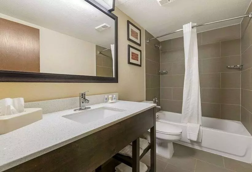 اتاق استاندارد با 2 تخت دوبل, Comfort Inn & Suites North At The Pyramids