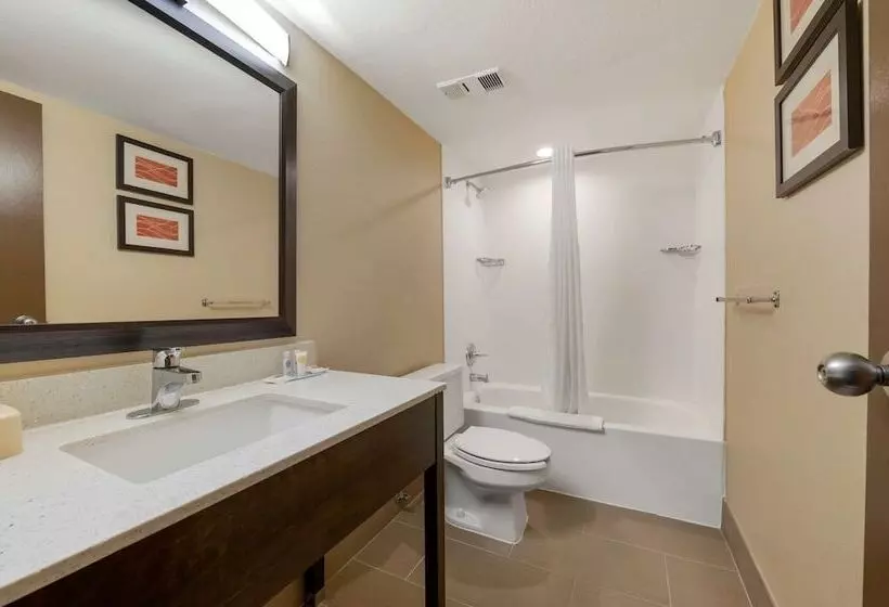 اتاق استاندارد با 2 تخت دوبل, Comfort Inn & Suites North At The Pyramids