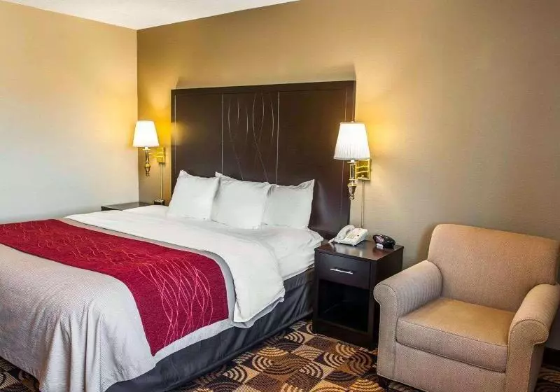 اتاق استاندارد با تخت بزرگ, Comfort Inn & Suites North At The Pyramids