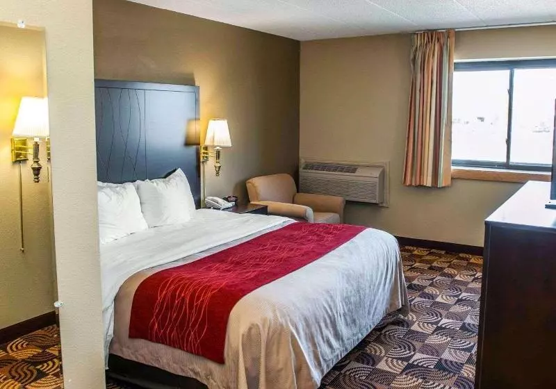 اتاق استاندارد با تخت بزرگ, Comfort Inn & Suites North At The Pyramids