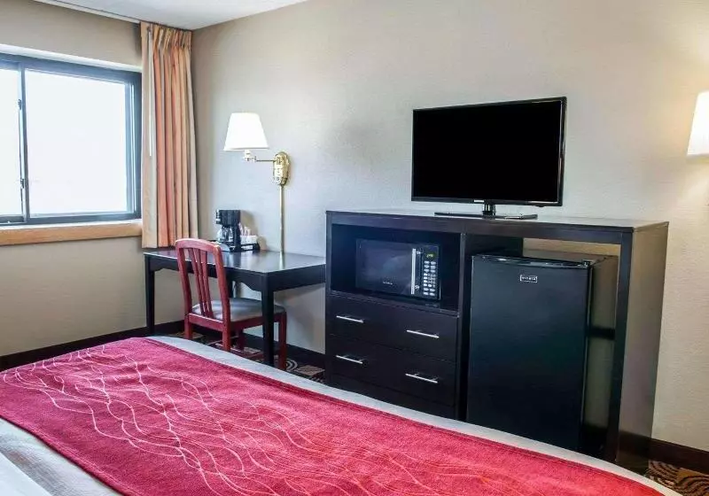 اتاق استاندارد با تخت بزرگ, Comfort Inn & Suites North At The Pyramids