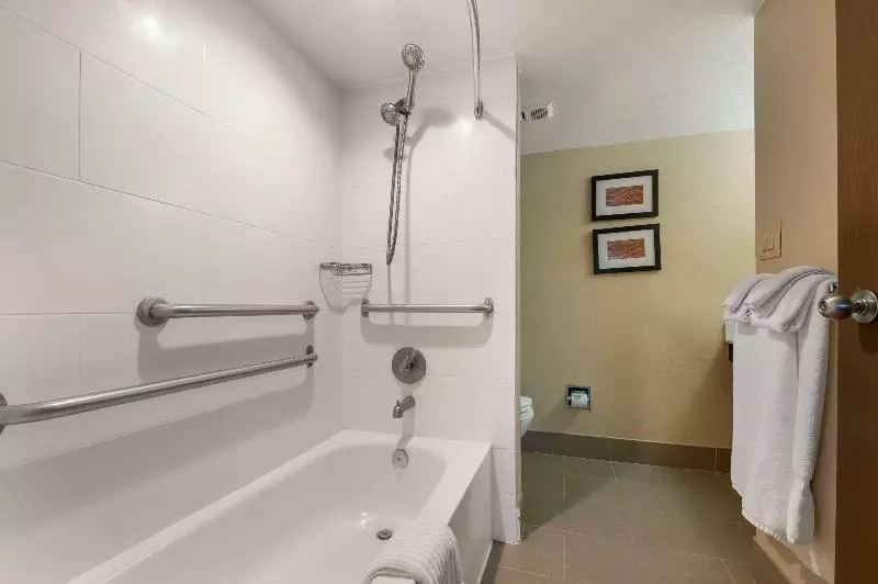 اتاق استاندارد با تخت بزرگ, Comfort Inn & Suites North At The Pyramids