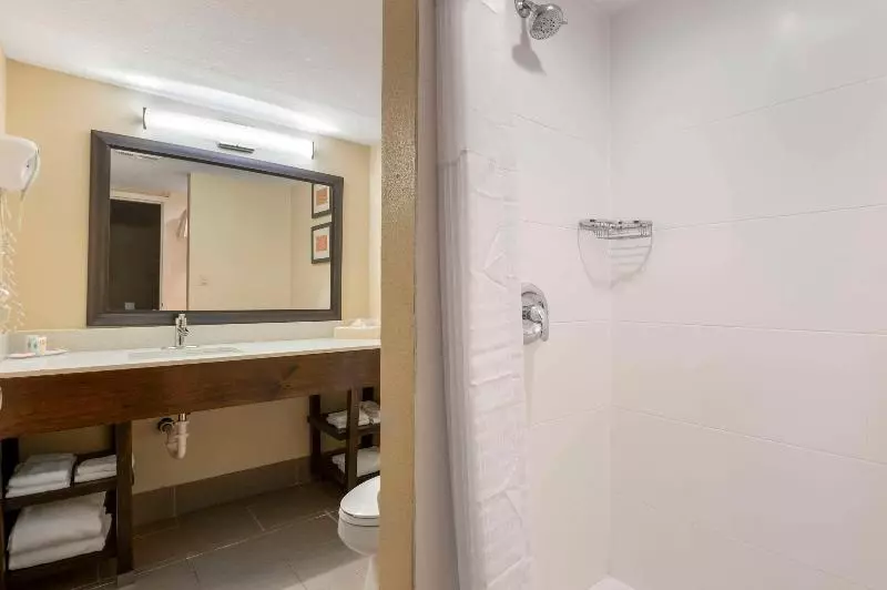 اتاق استاندارد با تخت بزرگ, Comfort Inn & Suites North At The Pyramids