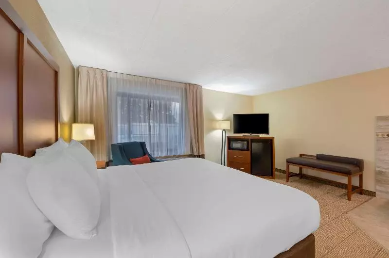 اتاق استاندارد با تخت بزرگ, Comfort Inn & Suites North At The Pyramids