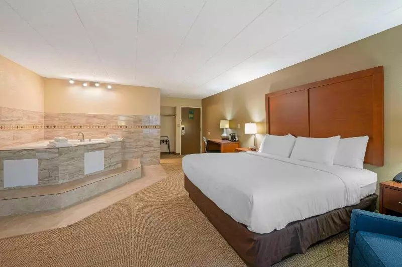 اتاق استاندارد با تخت بزرگ, Comfort Inn & Suites North At The Pyramids