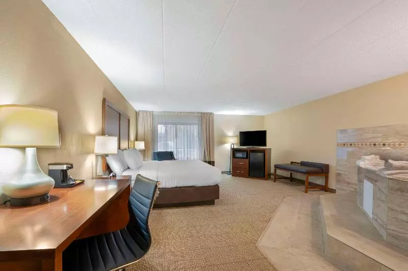 اتاق استاندارد با تخت بزرگ, Comfort Inn & Suites North At The Pyramids