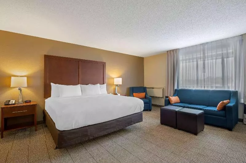 اتاق استاندارد با تخت بزرگ, Comfort Inn & Suites North At The Pyramids
