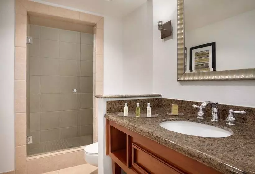 اتاق استاندارد با تخت دوبل, Doubletree By Hilton Hotel Albuquerque
