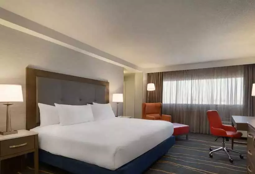 اتاق استاندارد با تخت دوبل, Doubletree By Hilton Hotel Albuquerque