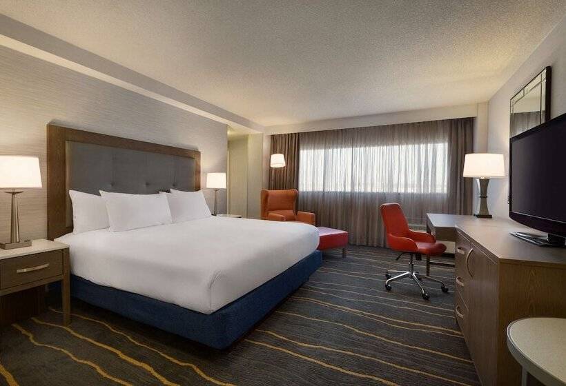ダブルベッドスタンダードルーム, Doubletree By Hilton Hotel Albuquerque